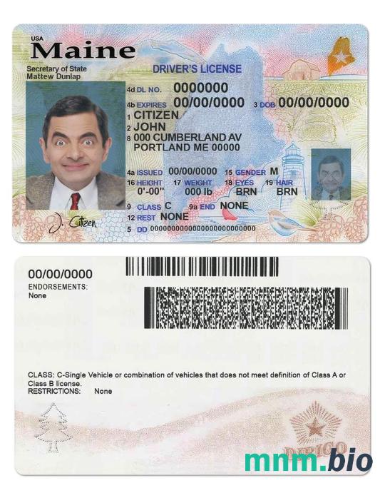 Szablon prawa jazdy stanu Maine w USA w formacie PSD, ze wszystkimi czcionkami (2019 – obecnie)